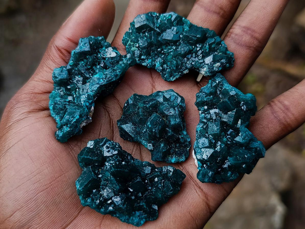 Natural Dioptase Specimen on Dolomite x 12 From Mashamba East Mine, Congo