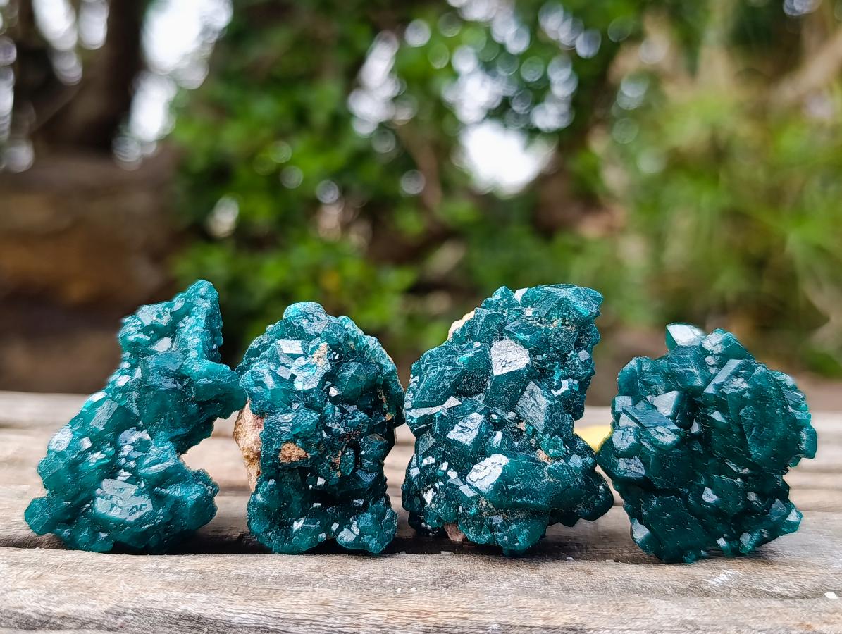 Natural Dioptase Specimen on Dolomite x 12 From Mashamba East Mine, Congo