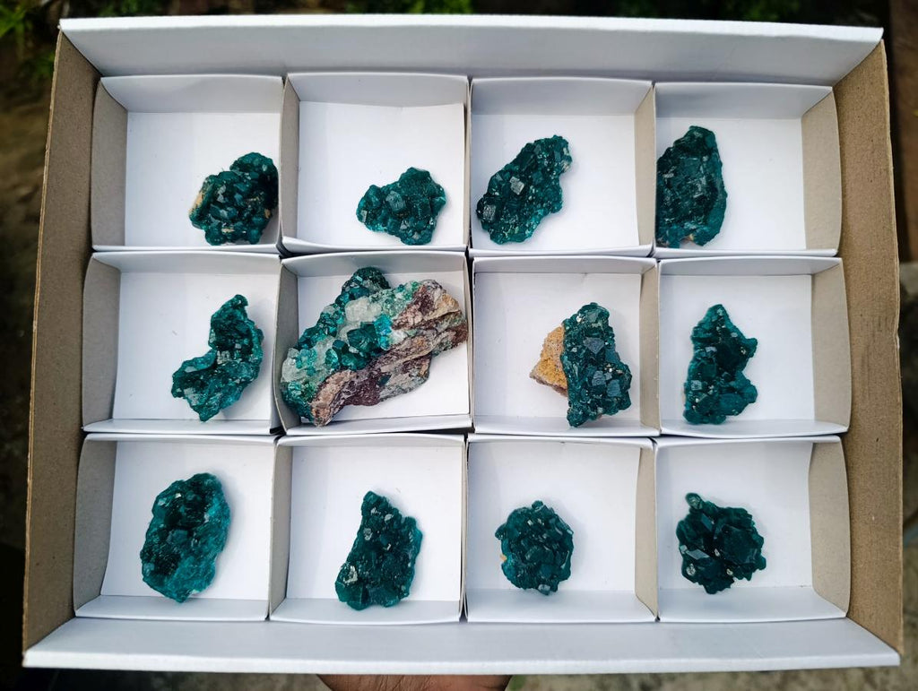 Natural Dioptase Specimen on Dolomite x 12 From Mashamba East Mine, Congo