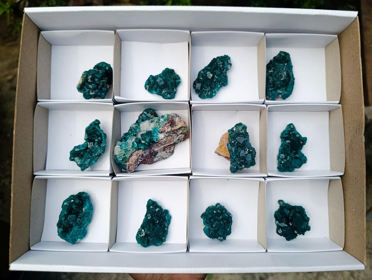 Natural Dioptase Specimen on Dolomite x 12 From Mashamba East Mine, Congo