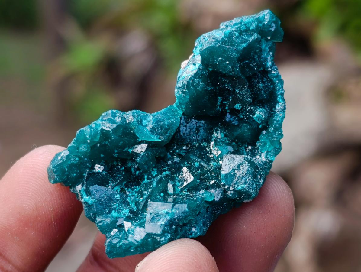 Natural Dioptase Specimen on Dolomite x 12 From Mashamba East Mine, Congo