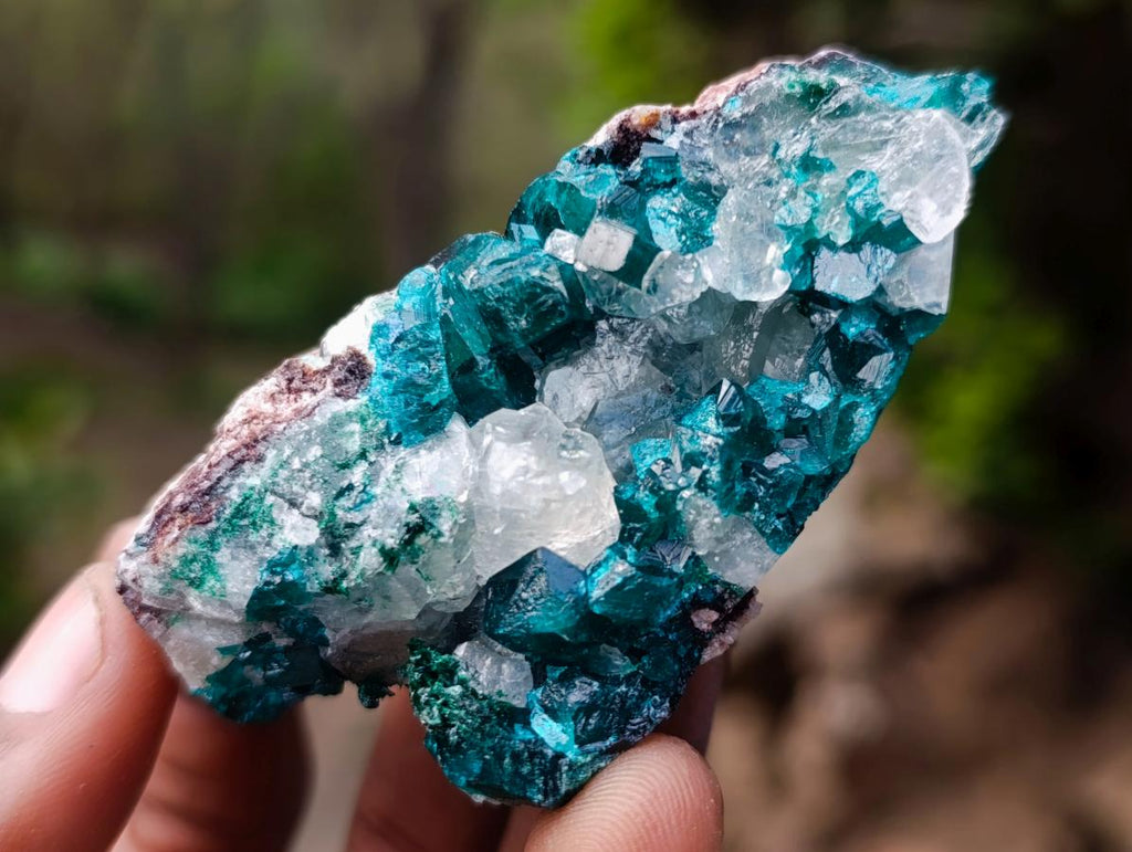 Natural Dioptase Specimen on Dolomite x 12 From Mashamba East Mine, Congo