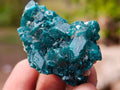 Natural Dioptase Specimen on Dolomite x 12 From Mashamba East Mine, Congo