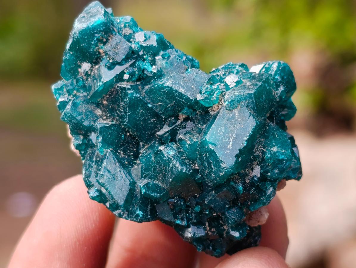 Natural Dioptase Specimen on Dolomite x 12 From Mashamba East Mine, Congo