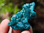 Natural Dioptase Specimen on Dolomite x 12 From Mashamba East Mine, Congo