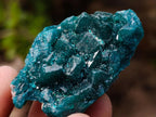 Natural Dioptase Specimen on Dolomite x 12 From Mashamba East Mine, Congo
