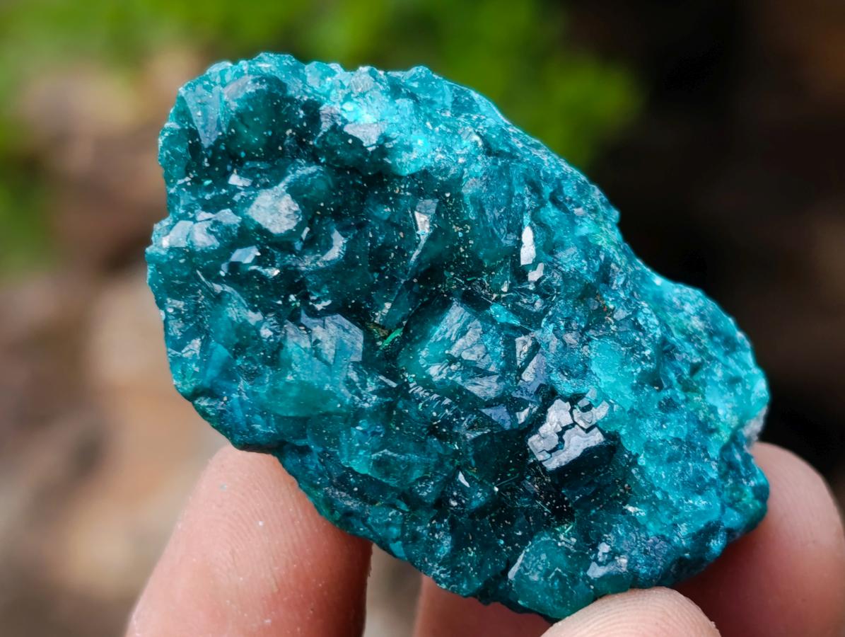 Natural Dioptase Specimen on Dolomite x 12 From Mashamba East Mine, Congo
