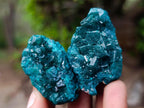 Natural Dioptase Specimen on Dolomite x 12 From Mashamba East Mine, Congo