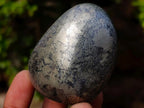 Polished Basalt Pharaoh Stone Free Forms x 7 From Iron Duke Mine, Zimbabwe