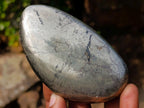Polished Basalt Pharaoh Stone Free Forms x 7 From Iron Duke Mine, Zimbabwe