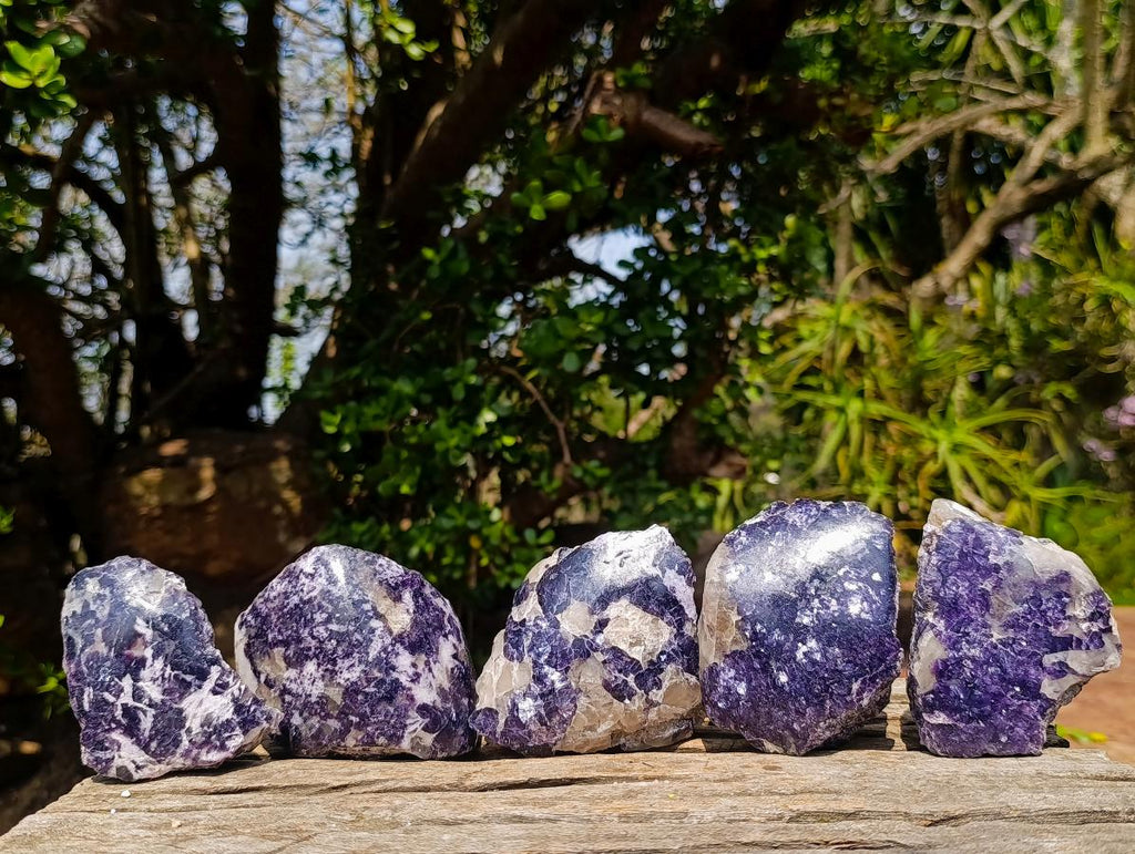 Polished One Side Lithium Silver Leaf Lepidolite Specimens x 12 From Zimbabwe
