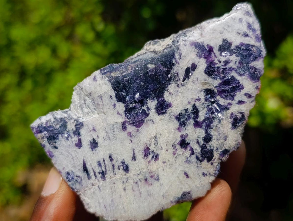 Polished One Side Lithium Silver Leaf Lepidolite Specimens x 12 From Zimbabwe