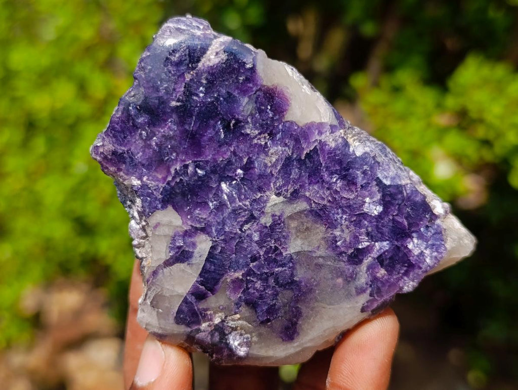 Polished One Side Lithium Silver Leaf Lepidolite Specimens x 12 From Zimbabwe
