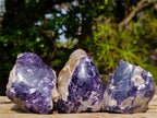 Polished One Side Lithium Silver Leaf Lepidolite Specimens x 12 From Zimbabwe