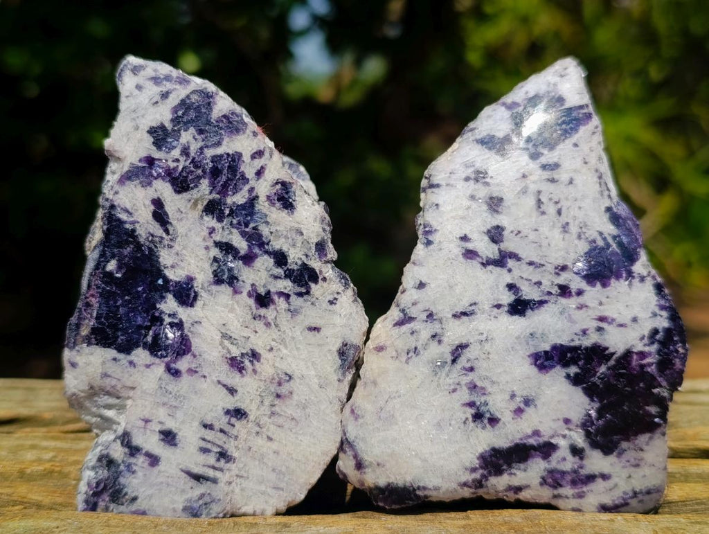 Polished One Side Lithium Silver Leaf Lepidolite Specimens x 12 From Zimbabwe