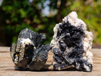 Natural Schorl Black Tourmaline Specimens with Associated Minerals x 35 From Erongo, Namibia