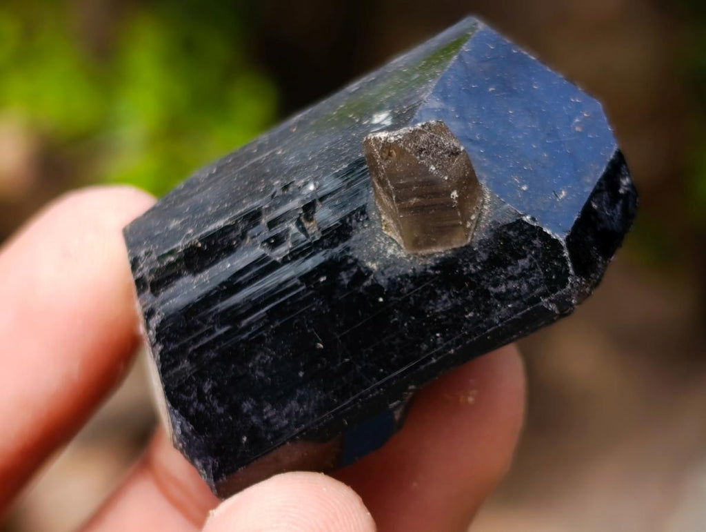 Natural Schorl Black Tourmaline Specimens with Associated Minerals x 35 From Erongo, Namibia