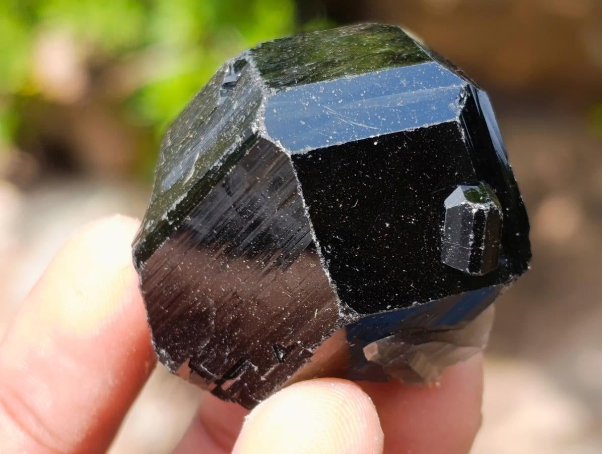 Natural Schorl Black Tourmaline Specimens with Associated Minerals x 35 From Erongo, Namibia