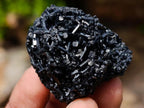 Natural Schorl Black Tourmaline Specimens with Associated Minerals x 35 From Erongo, Namibia