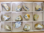 Polished One Side Blue Lace Agate Geodes x 12 From Nsanje, Malawi