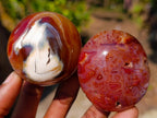 Polished Carnelian Agate Gemstone Galets x 12 From Madagascar