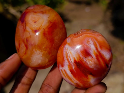 Polished Carnelian Agate Gemstone Galets x 12 From Madagascar