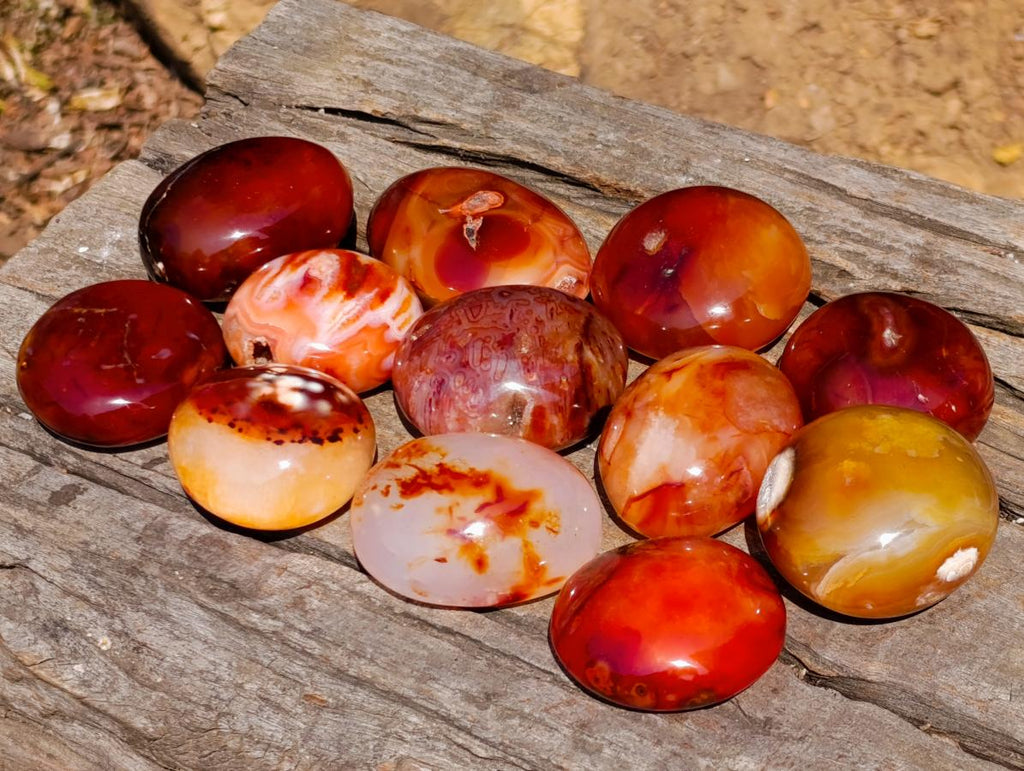 Polished Carnelian Agate Gemstone Galets x 12 From Madagascar