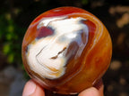 Polished Carnelian Agate Gemstone Galets x 12 From Madagascar