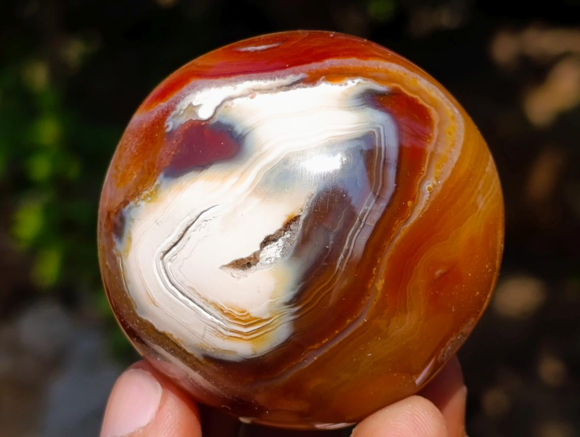 Polished Carnelian Agate Gemstone Galets x 12 From Madagascar