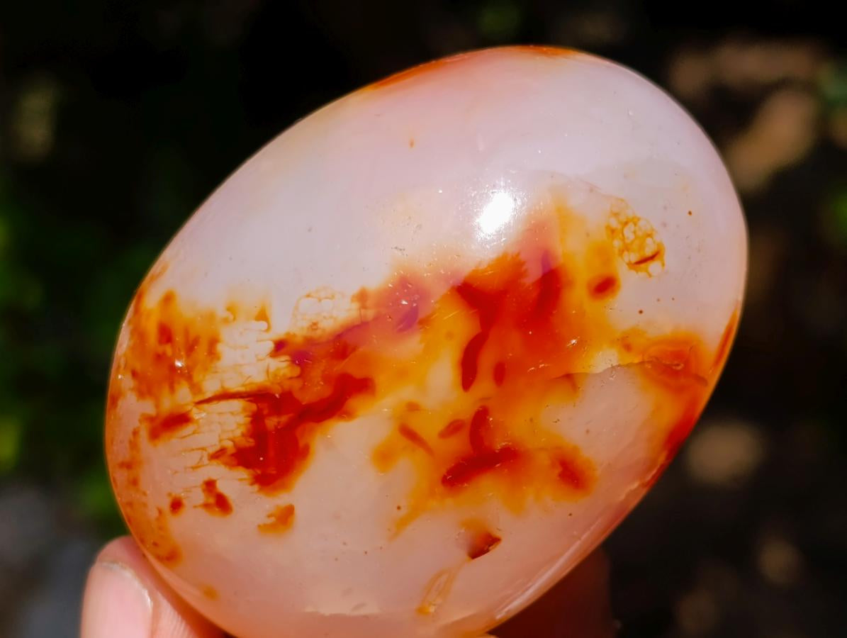 Polished Carnelian Agate Gemstone Galets x 12 From Madagascar