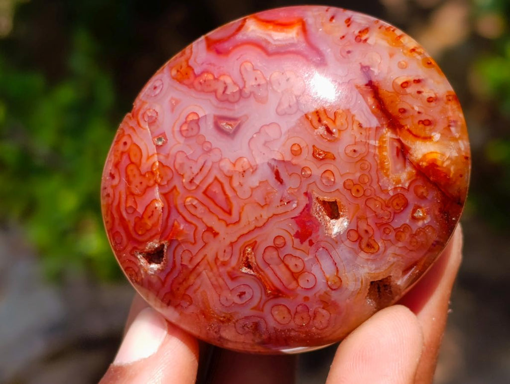 Polished Carnelian Agate Gemstone Galets x 12 From Madagascar