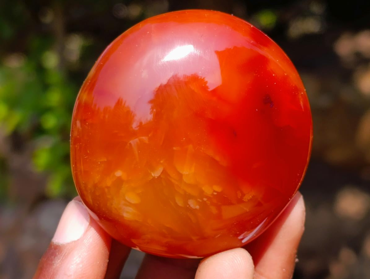 Polished Carnelian Agate Gemstone Galets x 12 From Madagascar