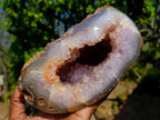 Polished and Natural Large Agate Amethyst Geode x 1 From Maintirano, Madagascar
