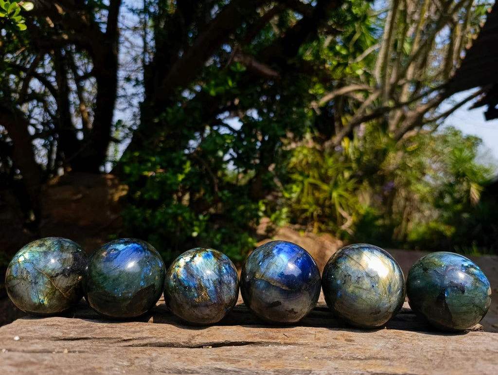 Polished Labradorite Spheres x 6 From Madagascar