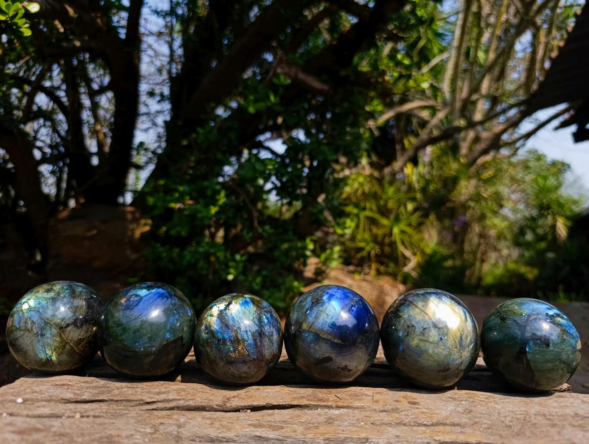 Polished Labradorite Spheres x 6 From Madagascar