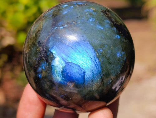 Polished Labradorite Spheres x 6 From Madagascar