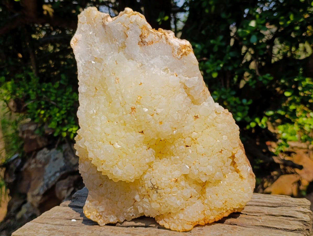 Natural XL Light Limonite Quartz Cluster x 1 From Namibia