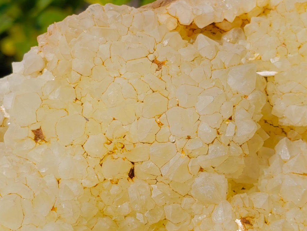 Natural XL Light Limonite Quartz Cluster x 1 From Namibia