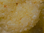 Natural XL Light Limonite Quartz Cluster x 1 From Namibia