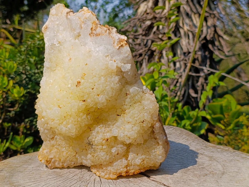 Natural XL Light Limonite Quartz Cluster x 1 From Namibia