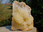 Natural XL Light Limonite Quartz Cluster x 1 From Namibia