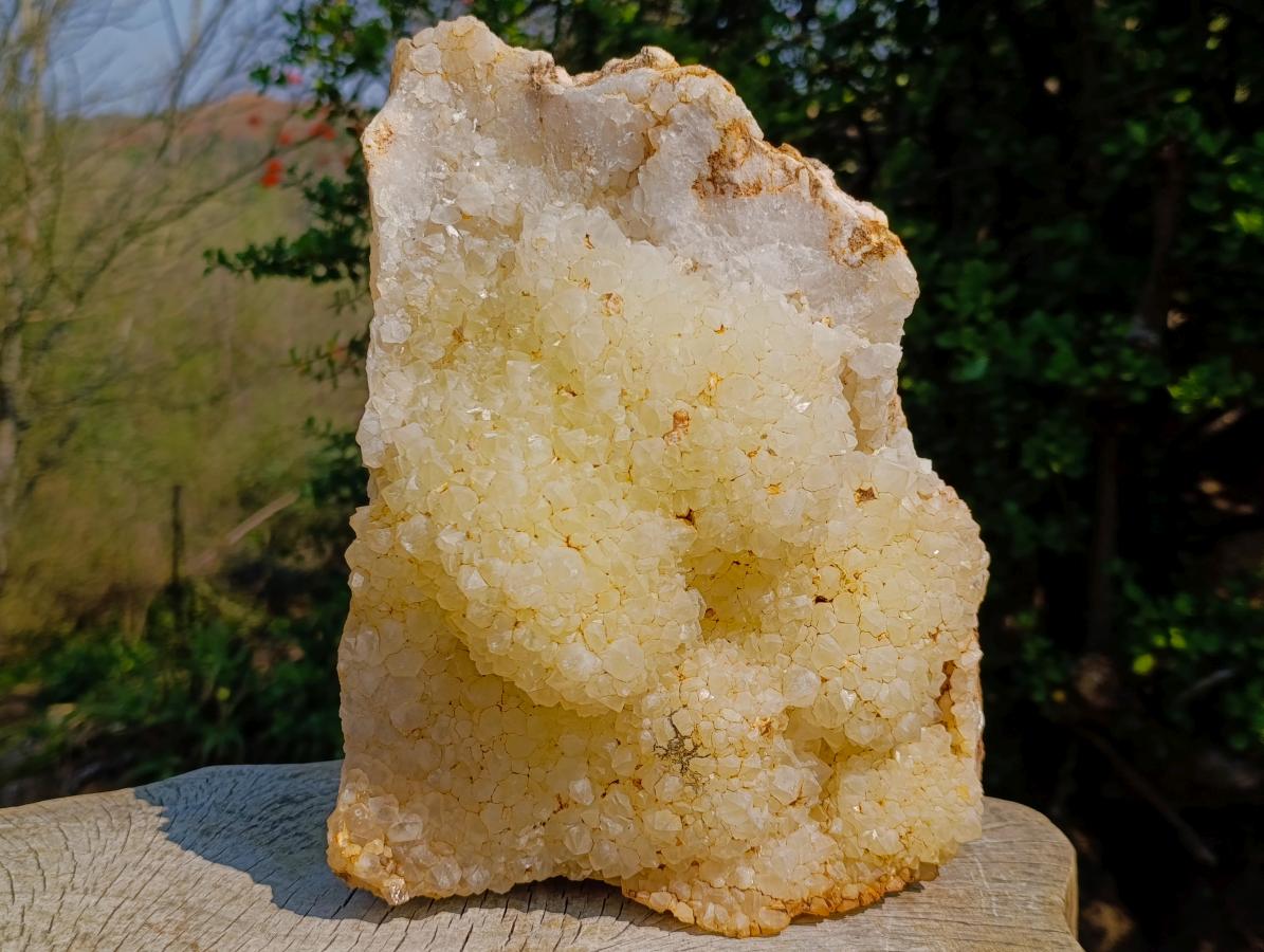 Natural XL Light Limonite Quartz Cluster x 1 From Namibia