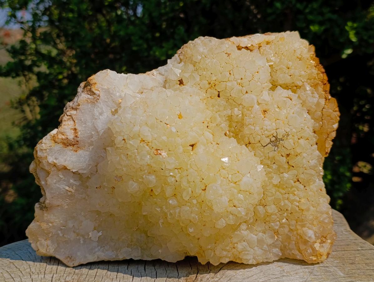 Natural XL Light Limonite Quartz Cluster x 1 From Namibia