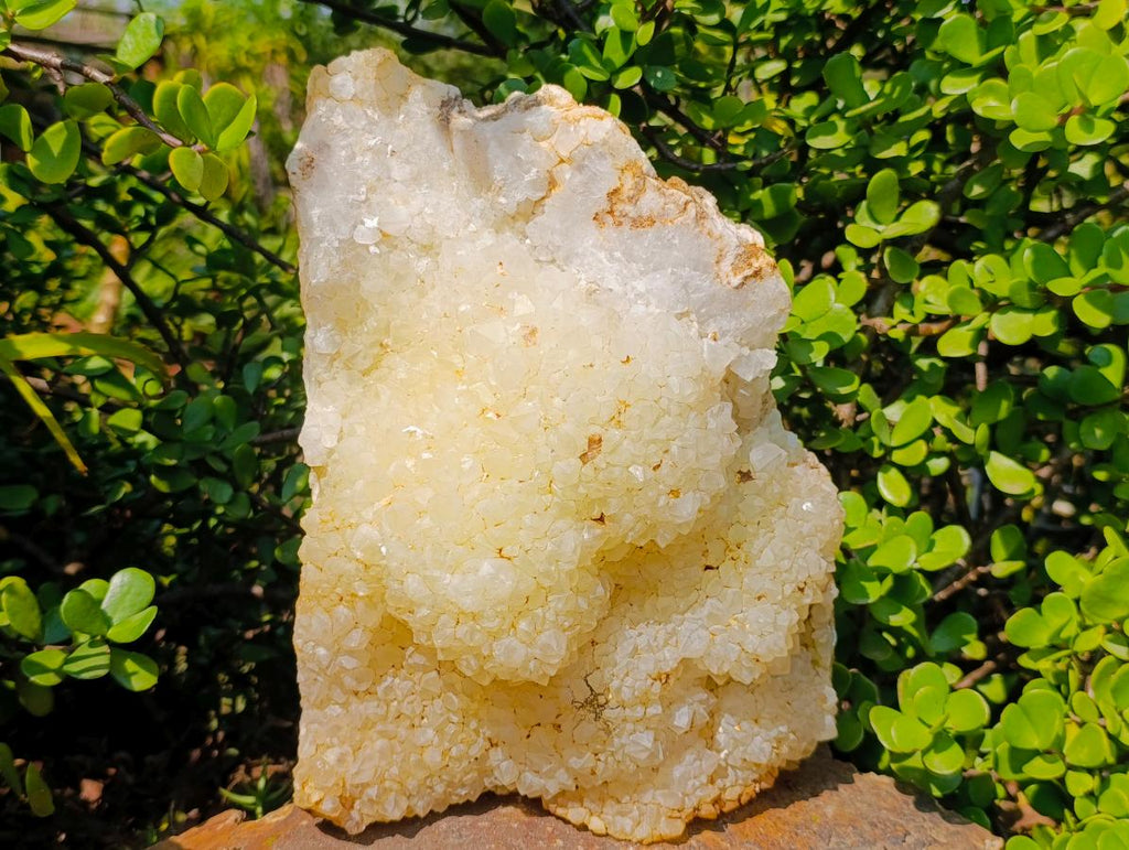Natural XL Light Limonite Quartz Cluster x 1 From Namibia