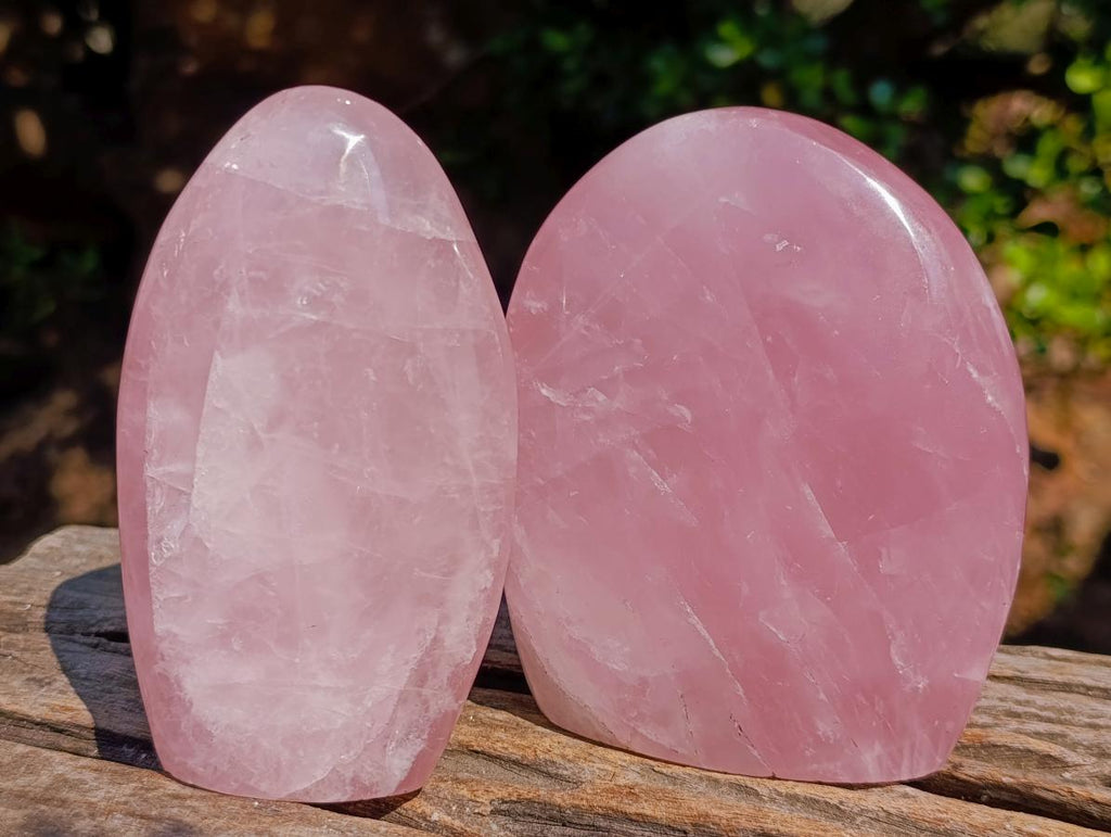 Polished Rose Quartz Standing Display Pieces x 6 From Zimbabwe