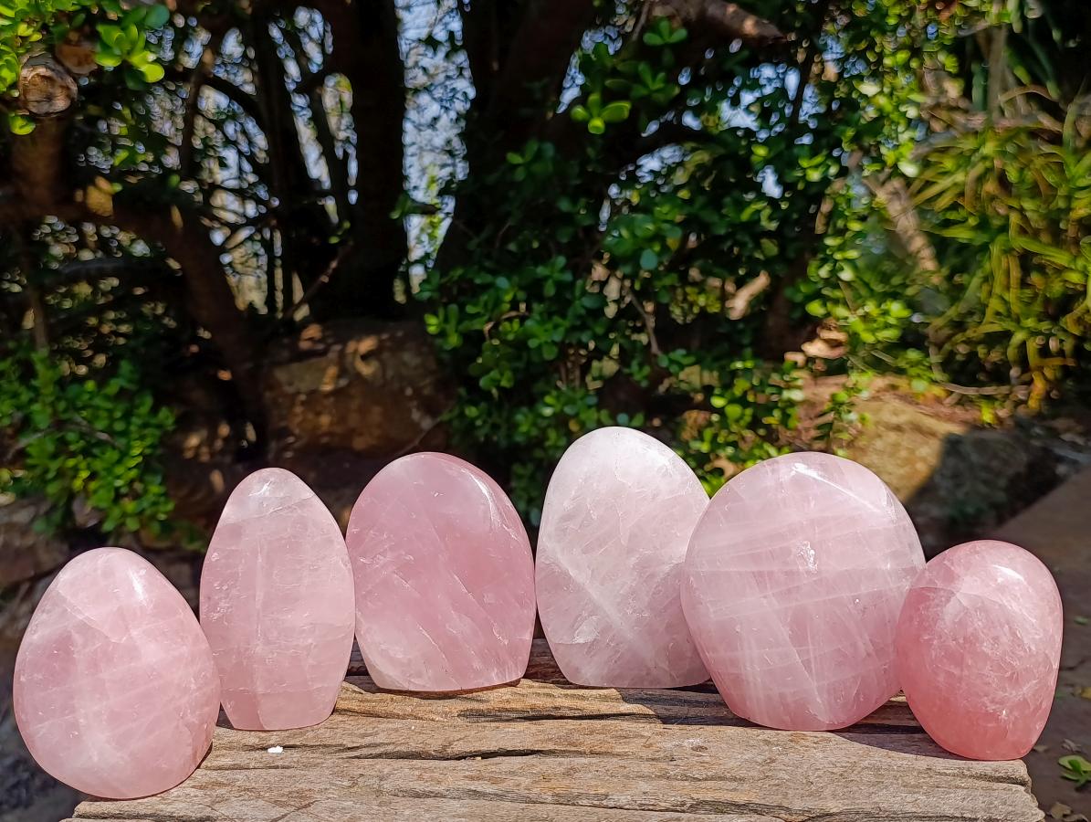 Polished Rose Quartz Standing Display Pieces x 6 From Zimbabwe