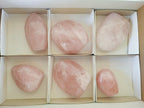 Polished Rose Quartz Standing Display Pieces x 6 From Zimbabwe