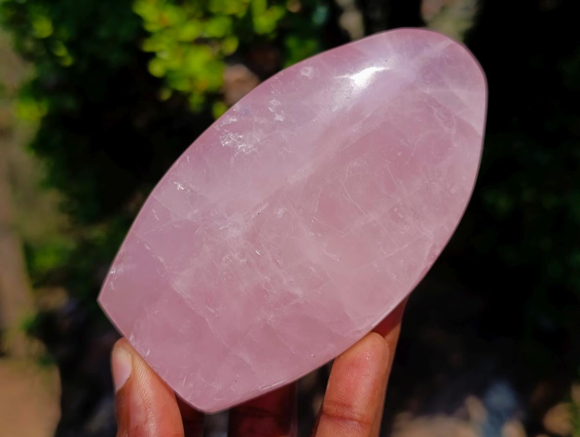 Polished Rose Quartz Standing Display Pieces x 6 From Zimbabwe
