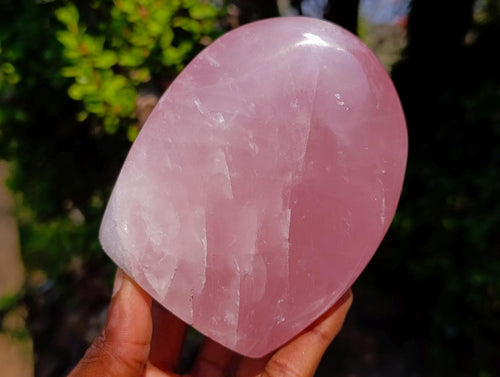 Polished Rose Quartz Standing Display Pieces x 6 From Zimbabwe