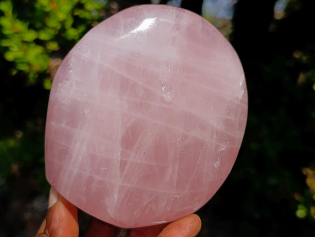 Polished Rose Quartz Standing Display Pieces x 6 From Zimbabwe